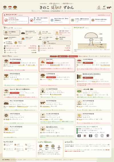 きのこ 見分けずかんのA3ポスター